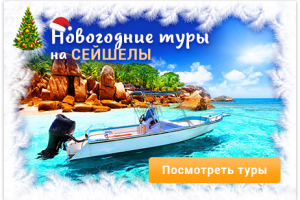 Новогодние туры