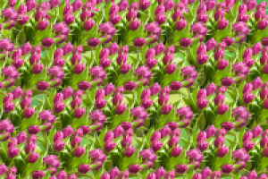 бумага для упаковки подарков