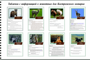 Таблички с информацией о животных для Костромского зоопарка