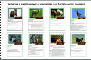 Таблички с информацией о животных для Костромского зоопарка