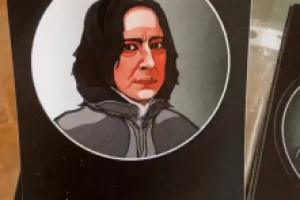 Напечатанный заказ (идет, как открытки)