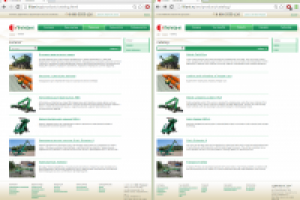 2015 - Liliani Website