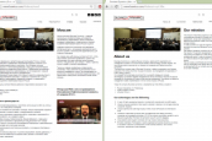 2014 - Business Dynamics Website