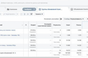 Таргетинг Facebook. Ниша: триммеры