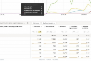 Таргетинг MyTarget. Ниша продажа и установка септиков