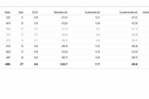 Контекстная реклама Яндекс.Директ (РСЯ). Ниша: ультразвуковые от