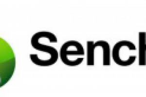 Список пользовательских ИС с возможностью запуска