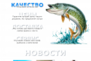 Макет главной страницы интернет-магазина "Индустрия Рыбалки"