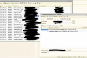 Документ "Сопроводительный реестр" для БП 2.0