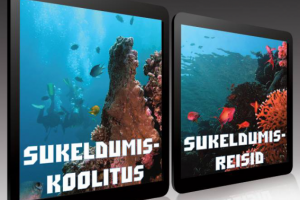 Вывески для дайвинг центра.