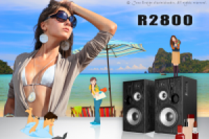 Баннер. Тема: колонки и девушки.