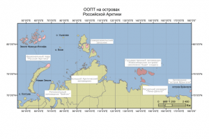 Инвентаризационные карты