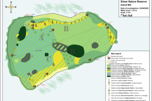 Карта растительности 9