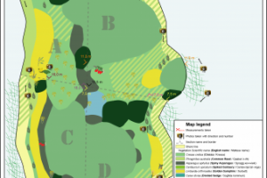 Карта растительности 8