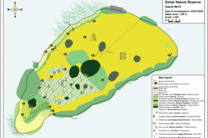 Карта растительности 12