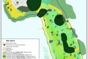 Карта растительности 13