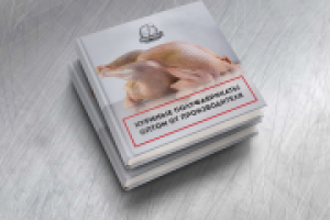 Маркетинг кит для производителя куриных полуфабрикатов