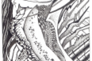 Графика, ручка