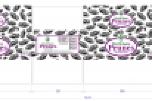 Короб упаковочный для чернослива