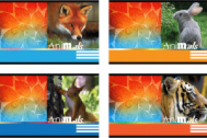 Обложка для тетрадей