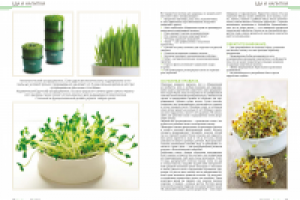 Работа 2752322