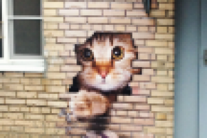 Образец самоклейки для наружных работ.