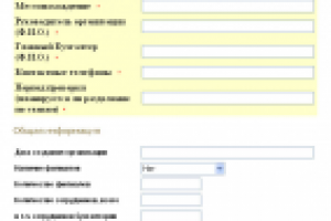 Скрипт добавления заявки аудиторской компании