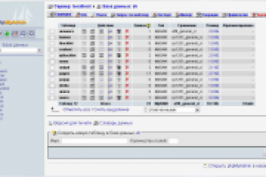 База данных для сервиса раскрутки сайтов