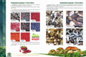 Работа 3039107