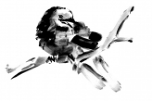 Работа 2403449