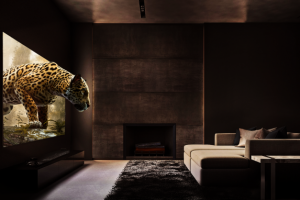 Фотошоп. Леопард в ТВ-комнате