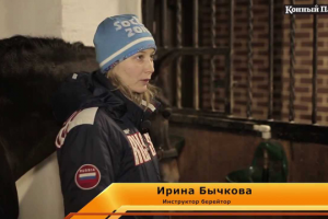 Как устроена конюшня?