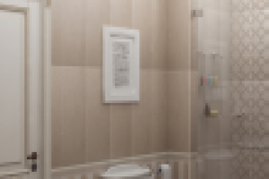 Гостевой санузел