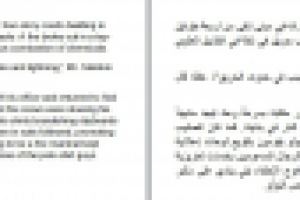 Лит. перевод