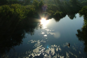 Ока в начале пути