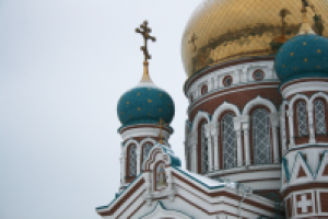 Работа 3126569