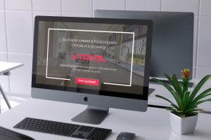 Бытовая химия litokol