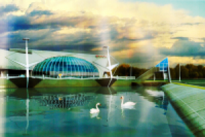 благоустройство пруда