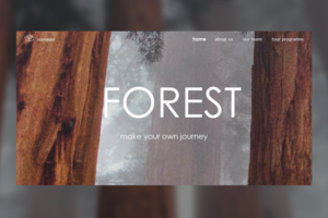Forest website