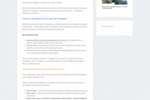 Статья Мази Турманидзе