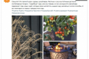 Пост_Тренды садового дизайна, часть 1.