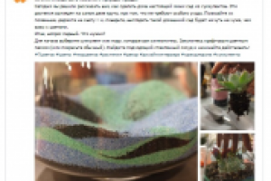 Статья_Суккуленты_ для "7 цветов"