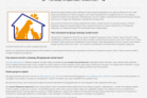 Статья Помощь бездомным животным - для зоосалона Мистер Мопс.