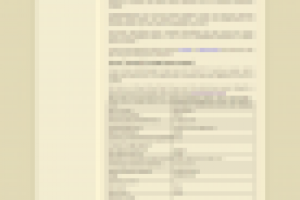 Thomsit DD смесь самовыравнивающаяся