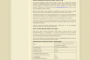 Thomsit RS 88 ремонтная смесь