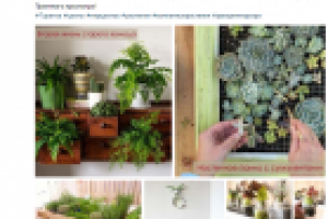 Пост_Мини-сад своими руками