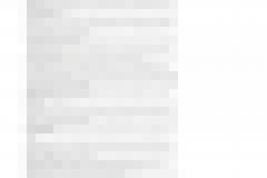 Статья 50 reasons why Google may dislike your site