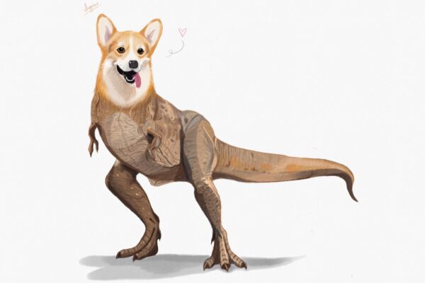 img3995157.png