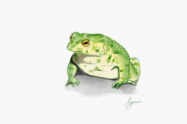 img3995025.png