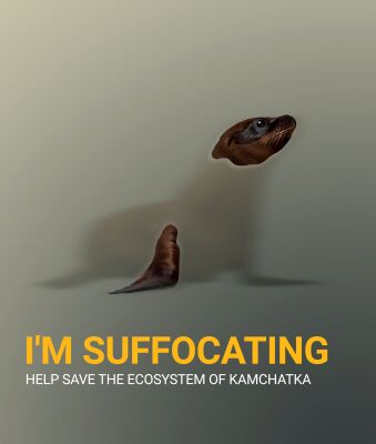 img4005476.png